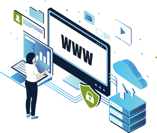 Choosing a Professional Domain or Website Hosting Provider